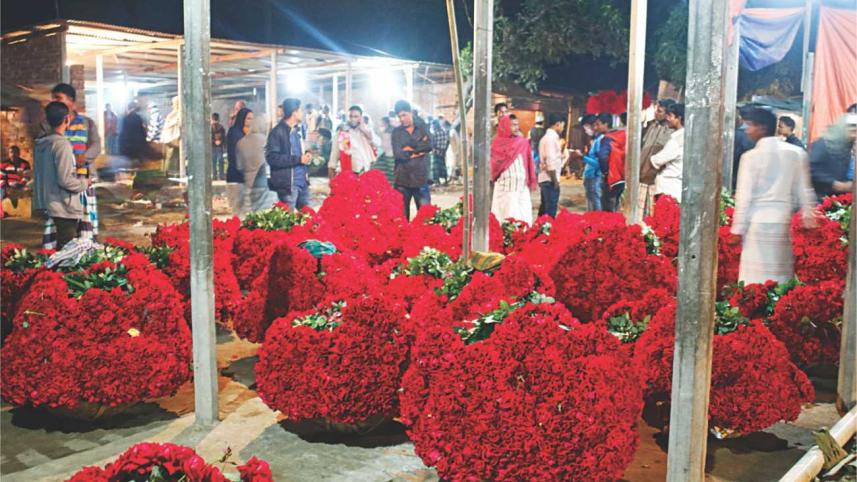 Roses, Everywhere