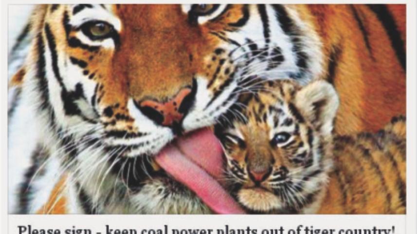 Save the Sundarbans