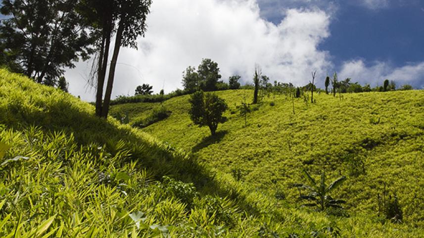 sis_bandanban_20120914_0124.jpg