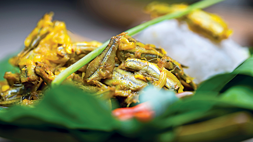 small-fishes4.jpg