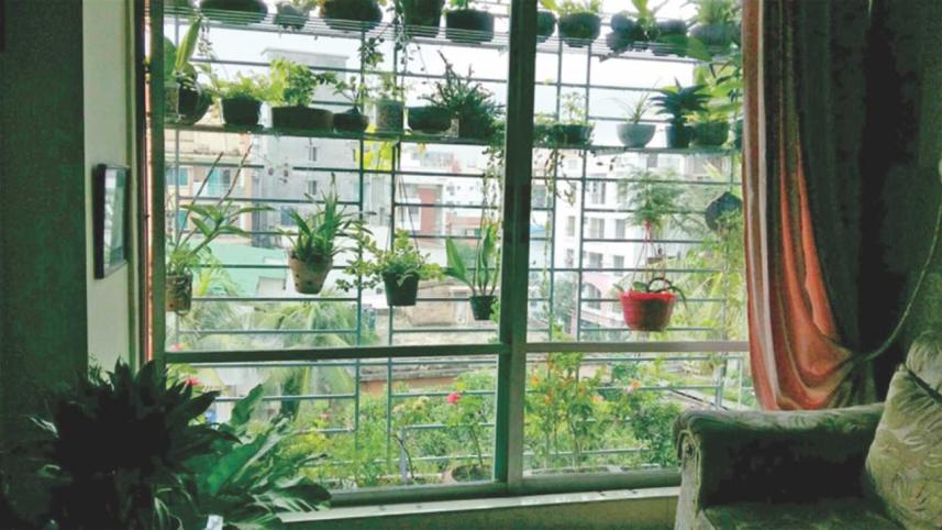 small_space_greenery2.jpg