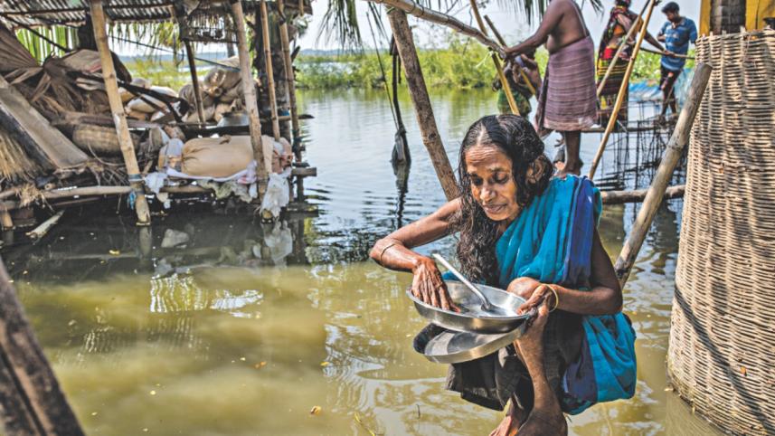 sorrow of jessore 3.jpg