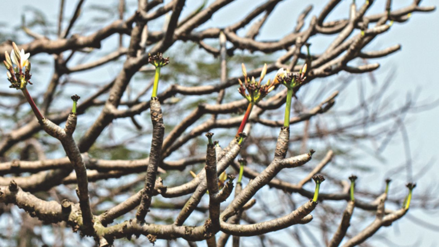 spring_4_0.jpg