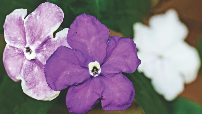 spring_6_0.jpg