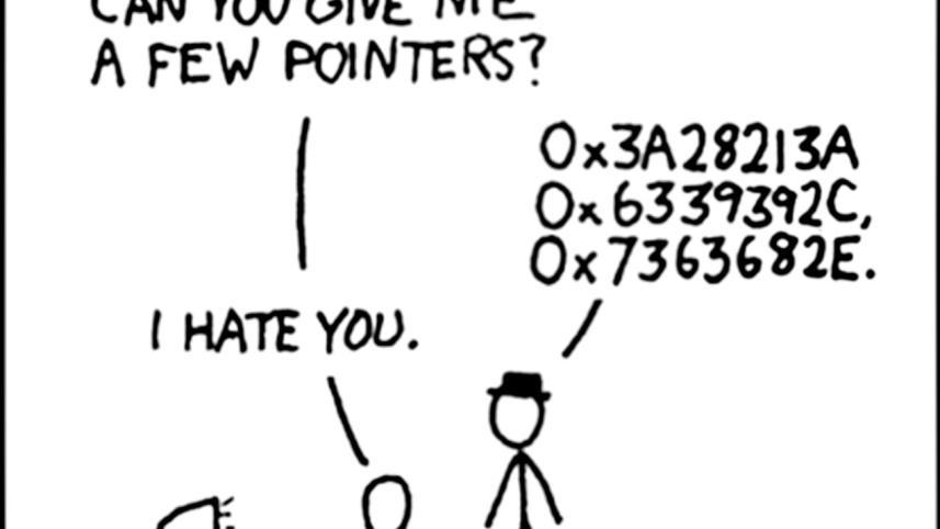 Stages of a Noob's Programming Contest