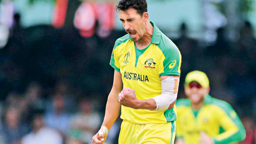 starc_2.jpg