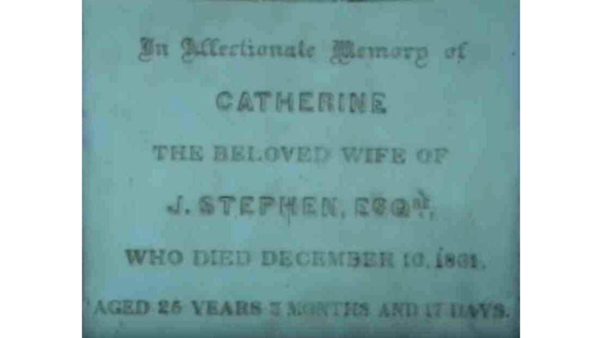 stephen_family_12.jpg