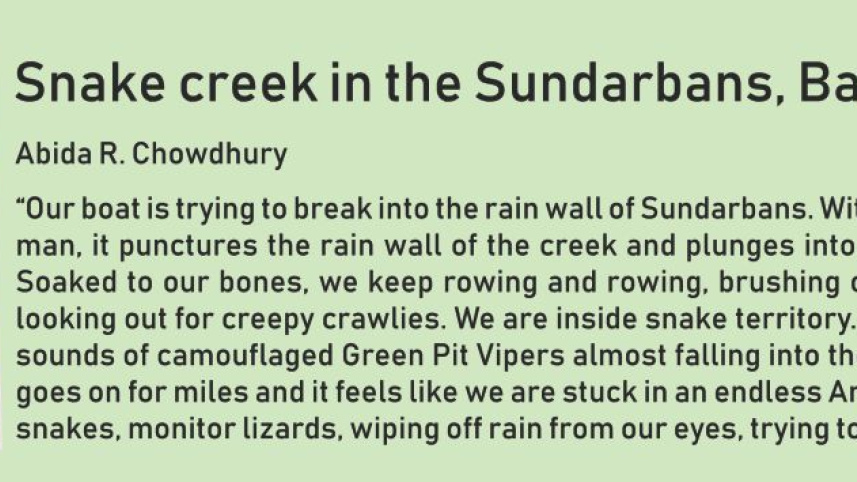 sundarban_1.jpg