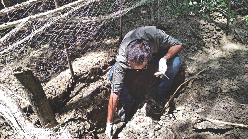 sundarbans_2_1.jpg