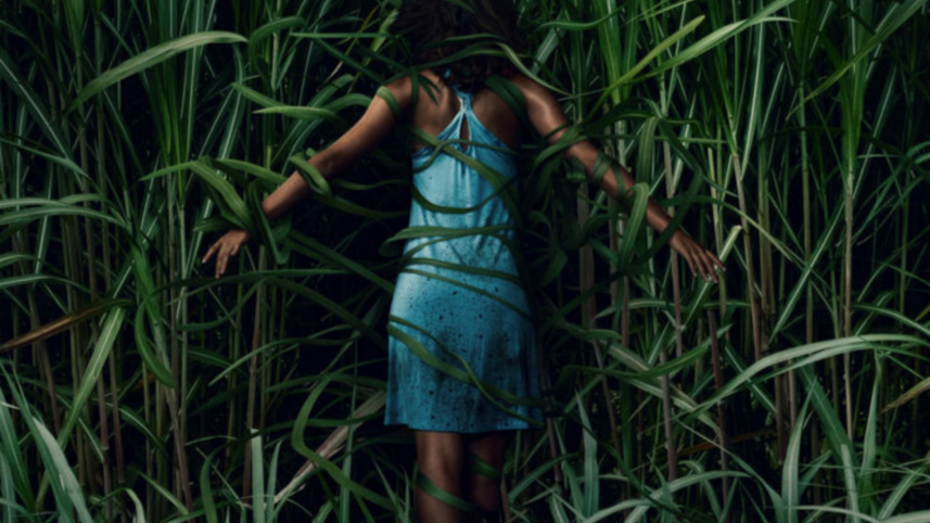 tall_grass.jpg