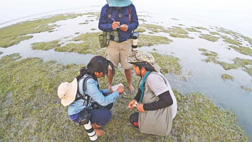 tanguar_haor
