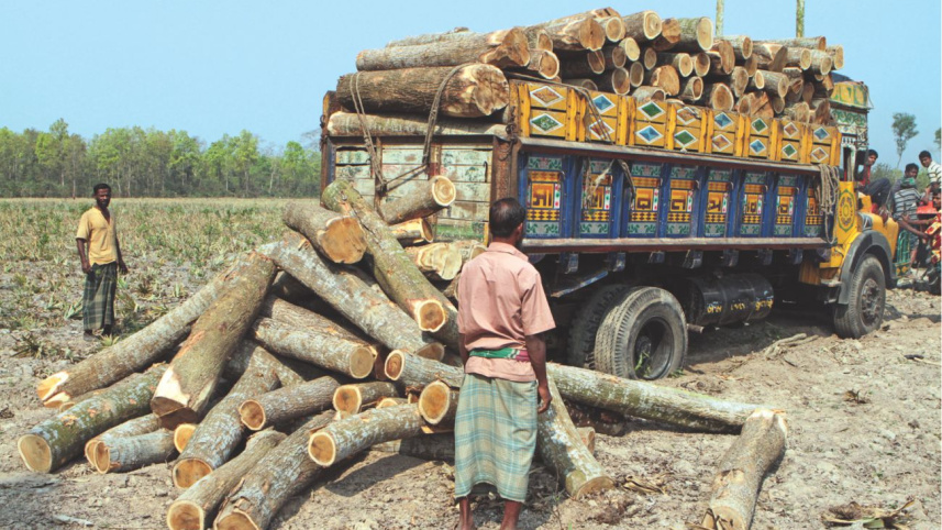 the_man_with_100_forest_cases_3.jpg