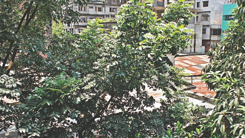 the_mulbitala_pond.jpg