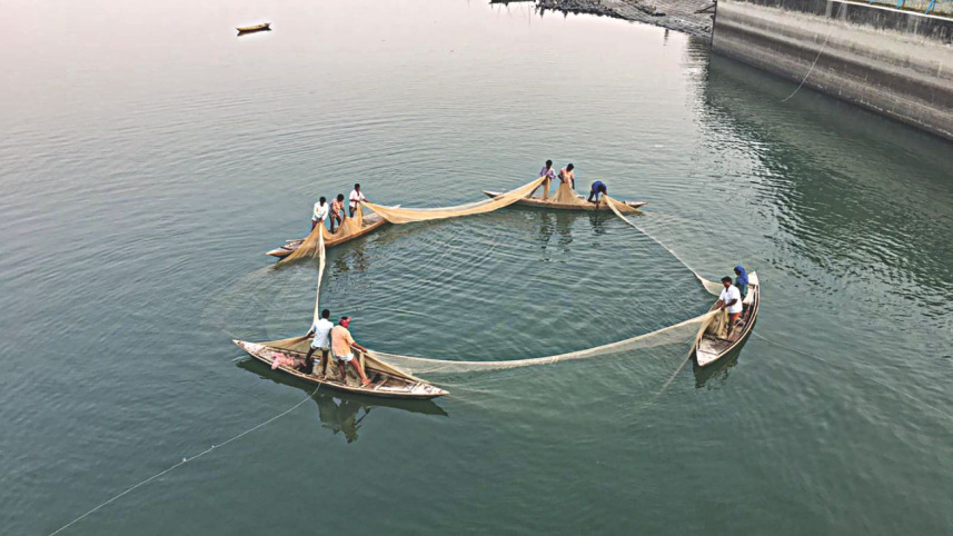 the_vanishing_fishermen_of_teesta4.jpg