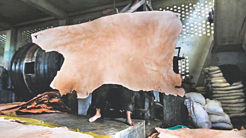 this_time_dhaleshwari_5.jpg