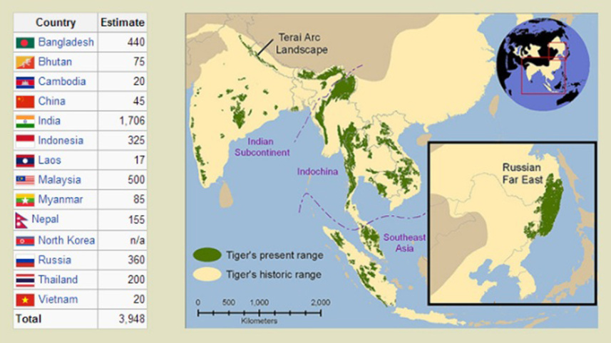 Tiger_Graph.jpg