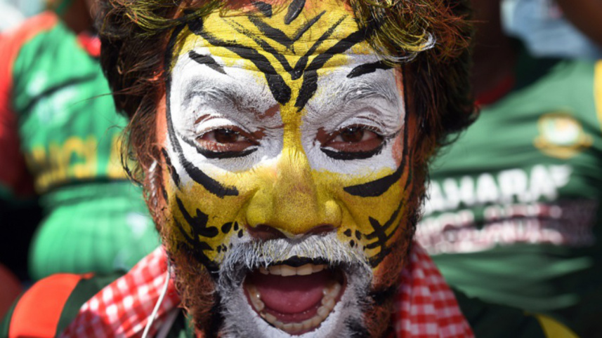 tigers fan.jpg
