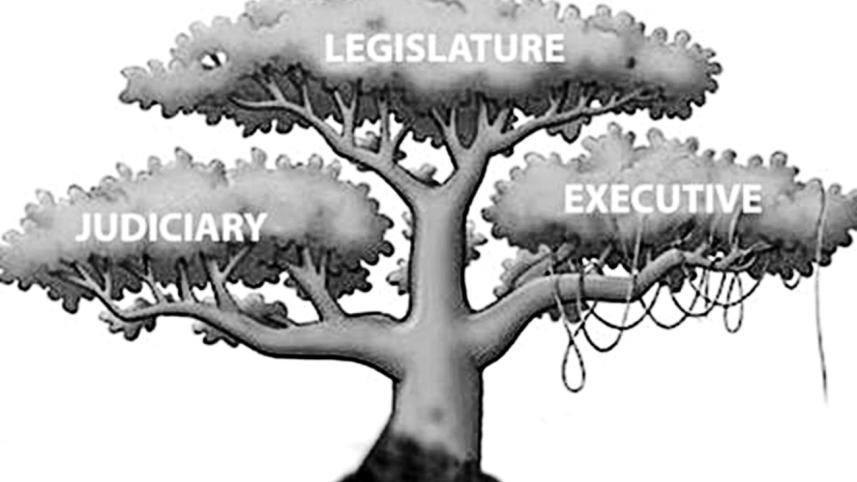 tree_2.jpg