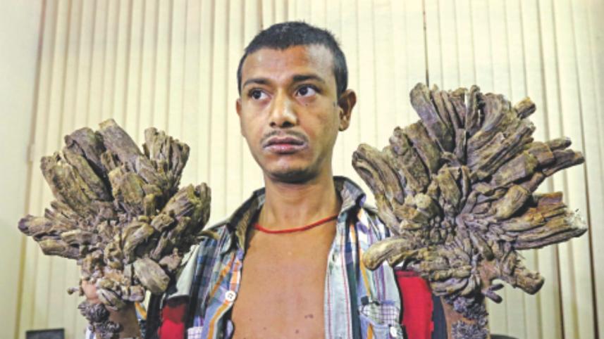 tree man 2.jpg