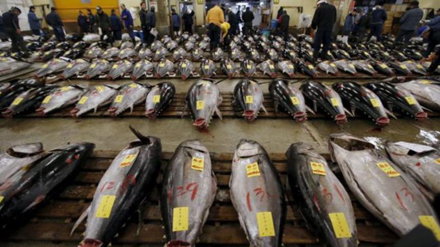 tuna_Reuters.jpg