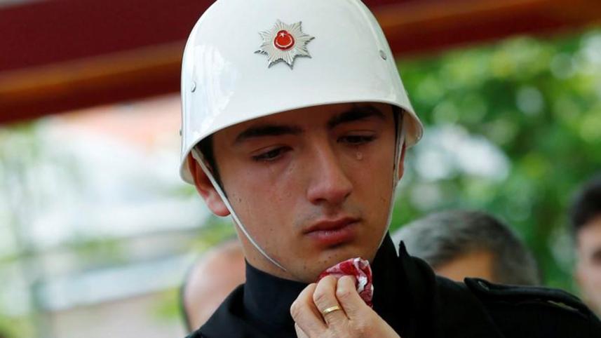 turkey-2.jpg