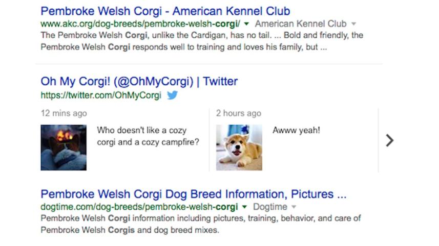 TWITTER-2-WEB.jpg