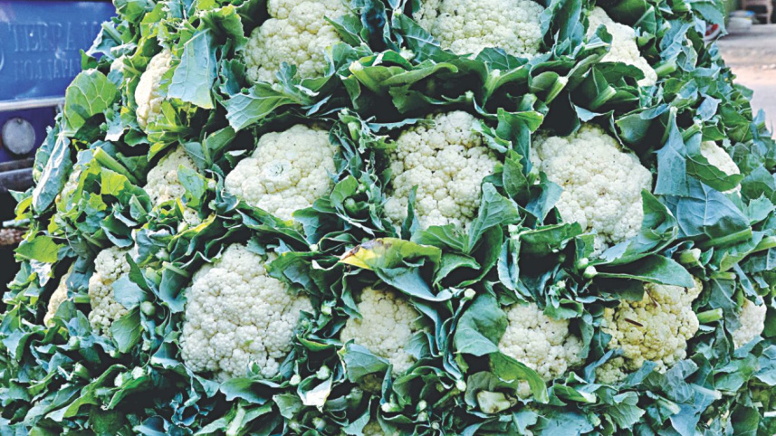 vegetable_9.jpg