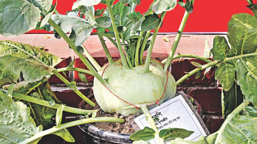 Vegetables4.jpg