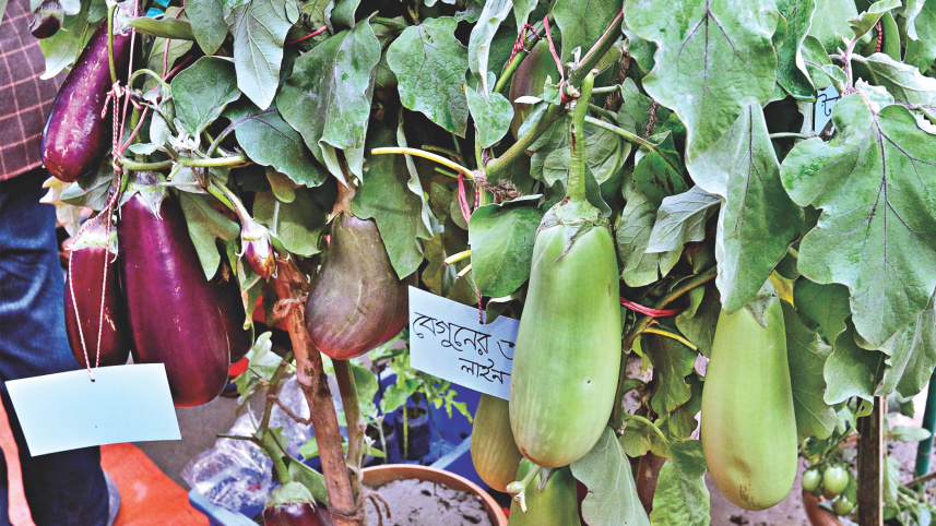 veggies_8.jpg