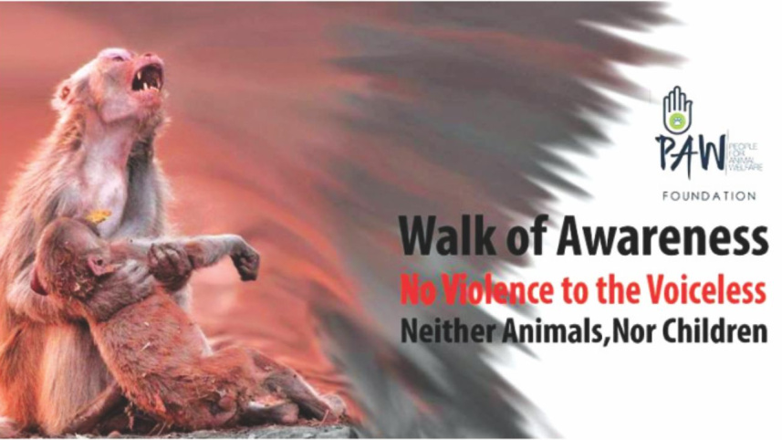 walk_of_awareness.jpg