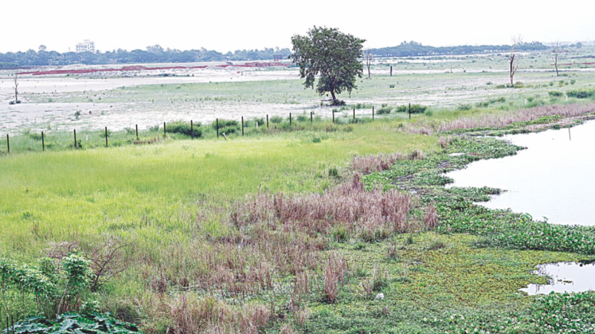 waterlogging_3_1.jpg