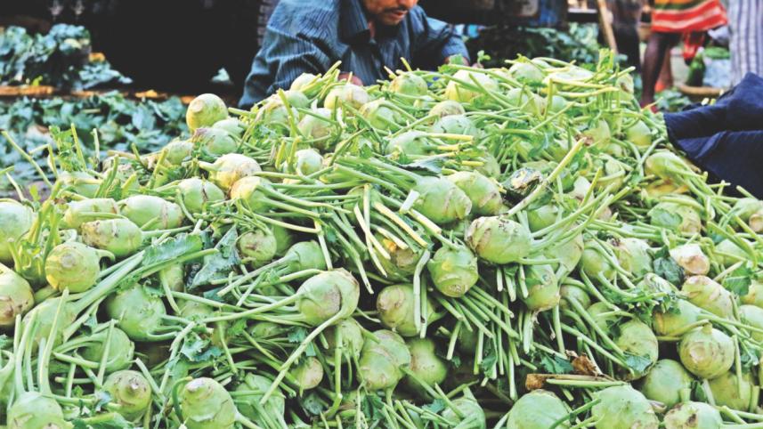 winter_vegetable_7.jpg