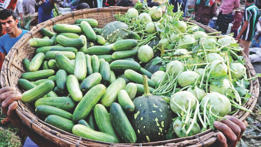 winter_vegetable_8.jpg