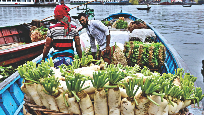 winter_vegetables_12.jpg
