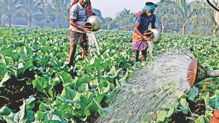 winter_vegetables_2.jpg