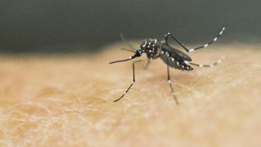 Zika, Colombia