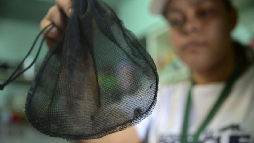 Zika, Colombia