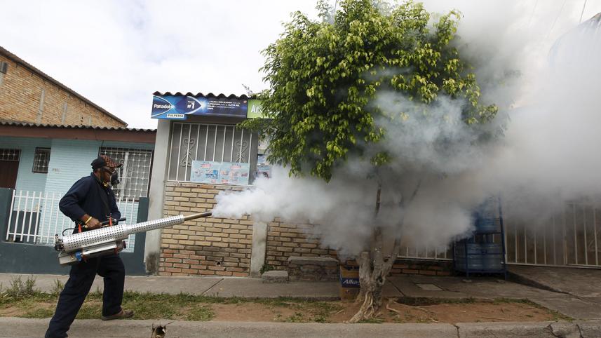 Zika, Honduras