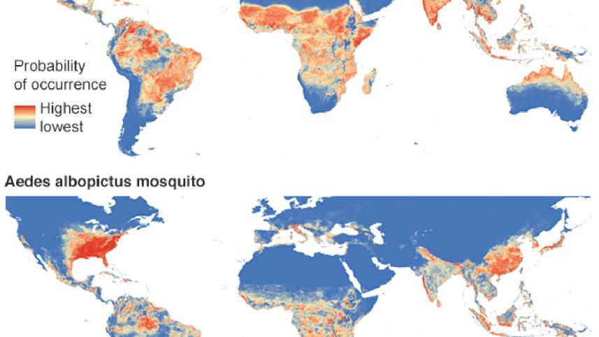 Zika-virus-2.jpg