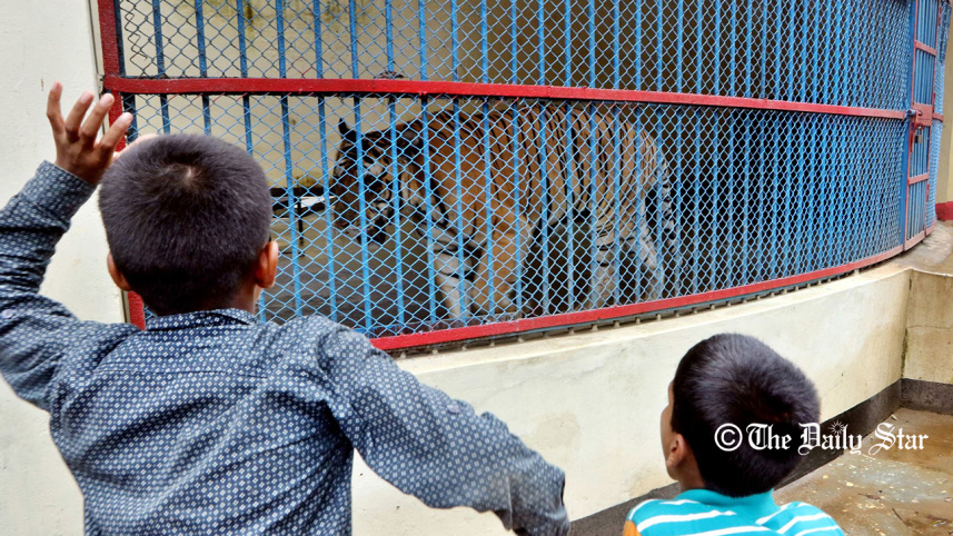 zoo1_0.jpg