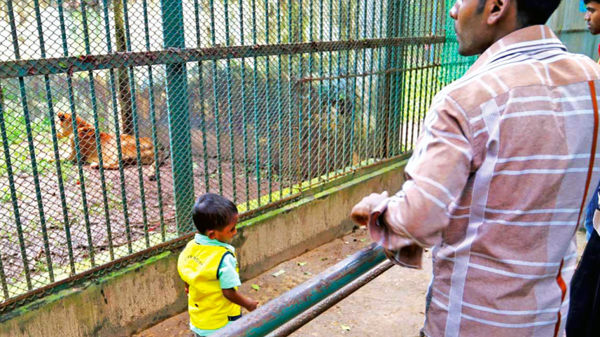 zoo3_1.jpg