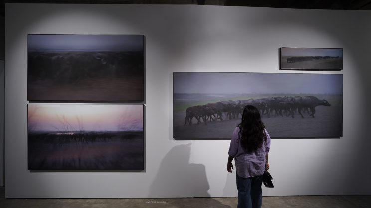 ‘The Quiet Within’: Exhibition blurs the line between photography and painting
