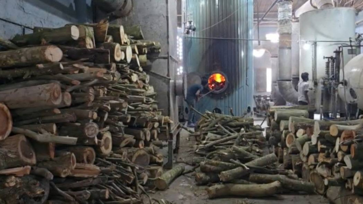 100 small and large textile factories are operating by burning wood due to gas shortage and rising prices of textile waste