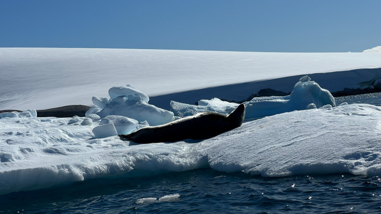 Bangladesh to Antarctica Planning the journey to the end of the world
