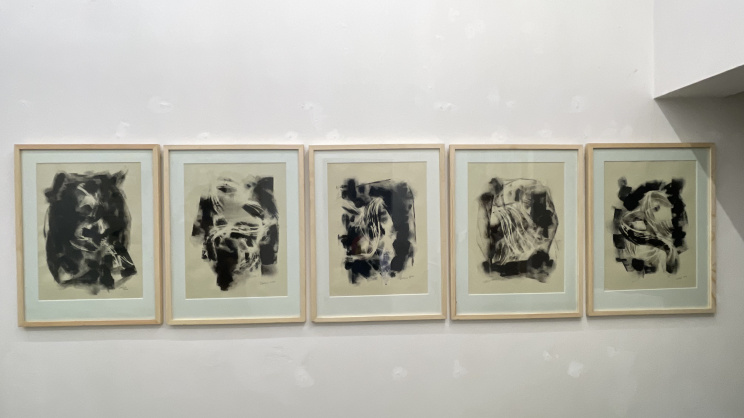 ‘Line-Form-Balance’: Exhibition explores strength and survival through art