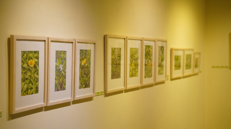 ‘Splendor of Green’: Exhibition explores the beauty of foliage in fine detail