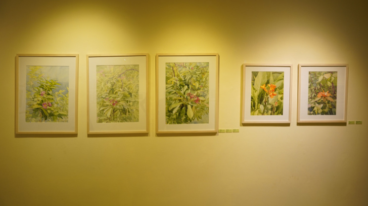 ‘Splendor of Green’: Exhibition explores the beauty of foliage in fine detail