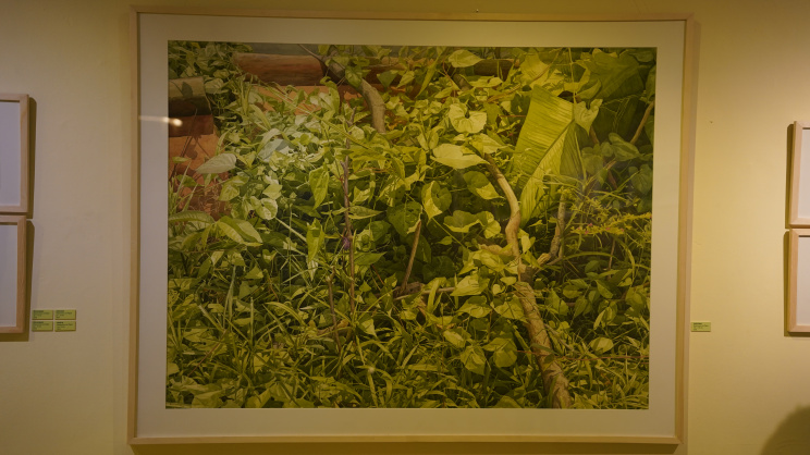 ‘Splendor of Green’: Exhibition explores the beauty of foliage in fine detail