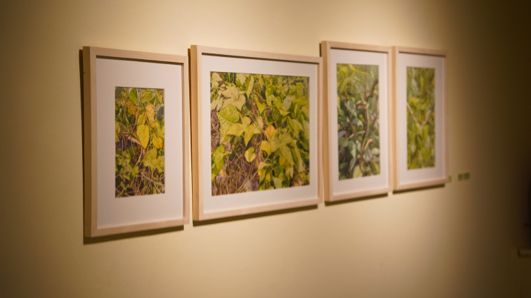 ‘Splendor of Green’: Exhibition explores the beauty of foliage in fine detail
