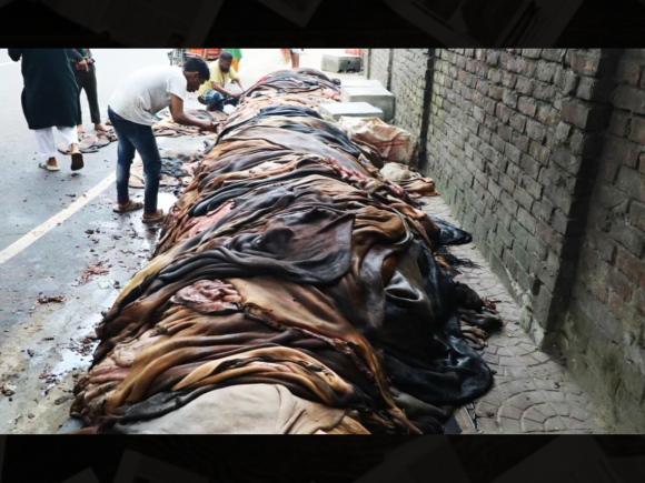 1_Qurbani hides.png